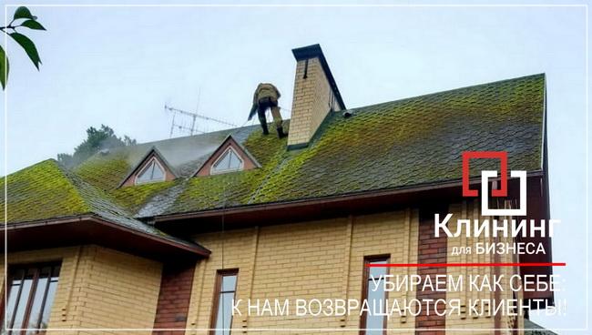 Очистка крыши от зелени специалистами Клининг для Бизнеса